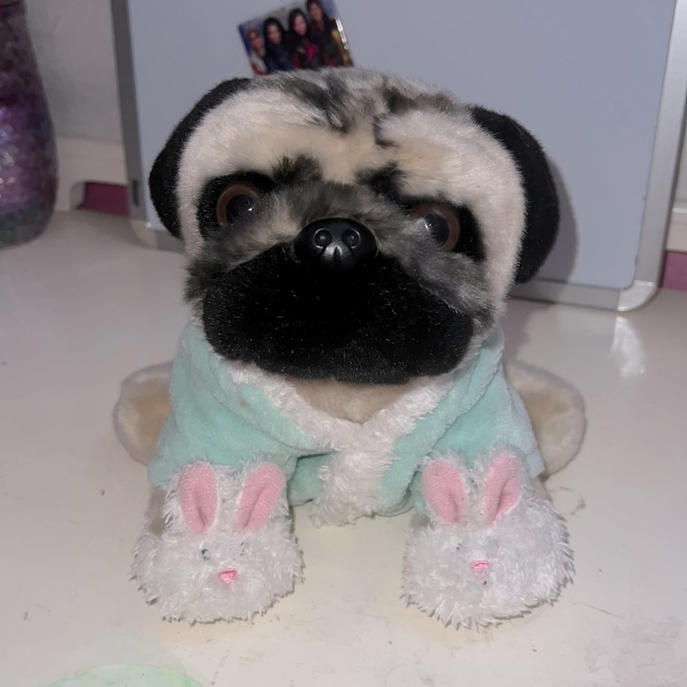 Cute pug in a robe!